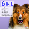 Haustier Best Professionals 6 in 1 Hunde Shampoo